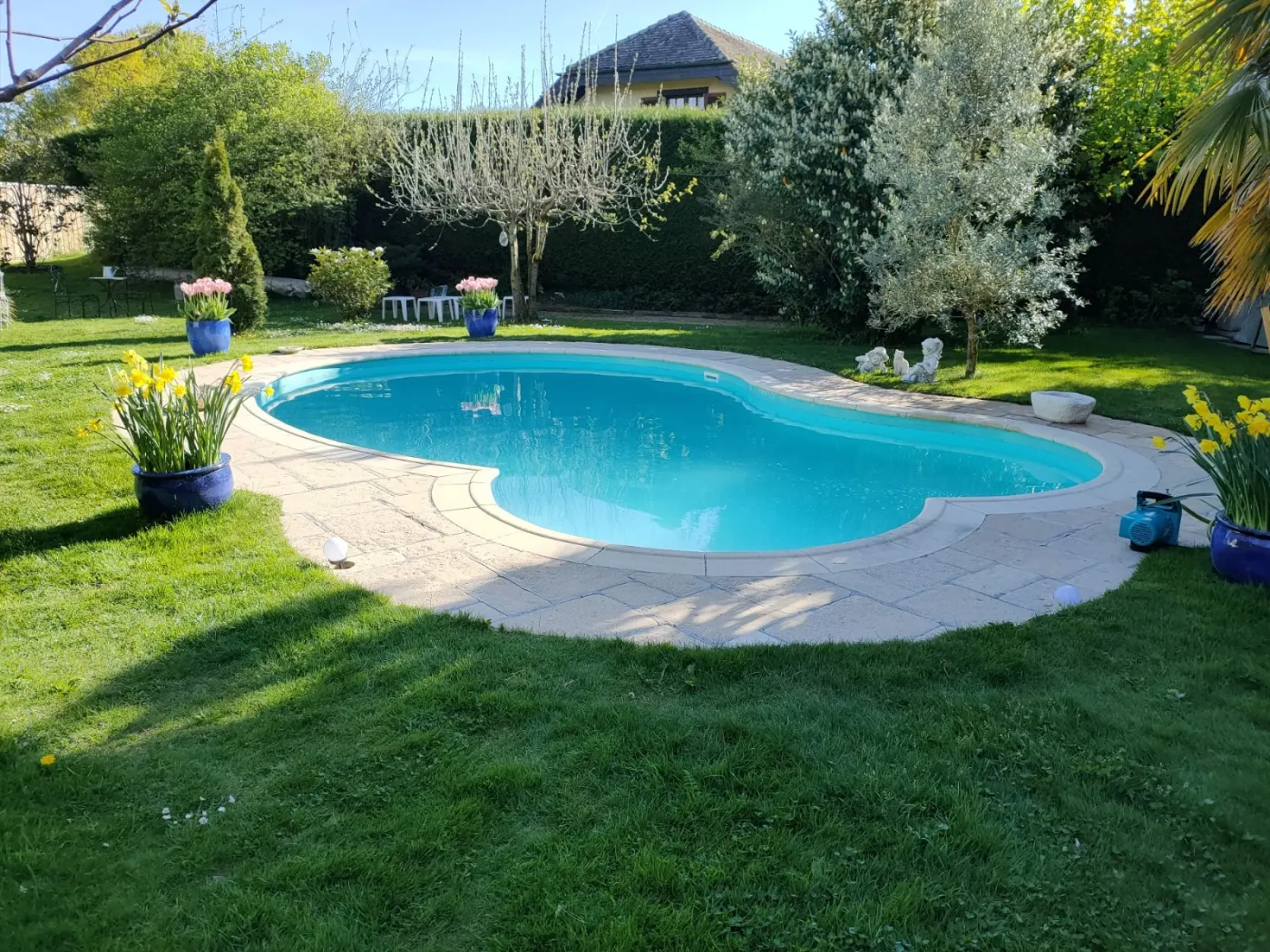 Piscine Waterair forme haricot dans un jardin fleuri